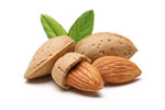 Nuts a super power food for natural healing
